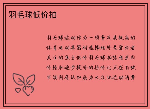 羽毛球低价拍