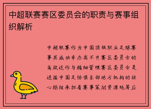 中超联赛赛区委员会的职责与赛事组织解析